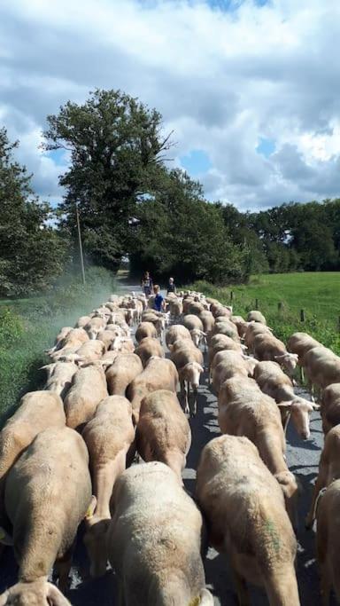 Gite A La Ferme, Avec Animaux, Fromages Et Nature Neuville-les-Decize Екстериор снимка