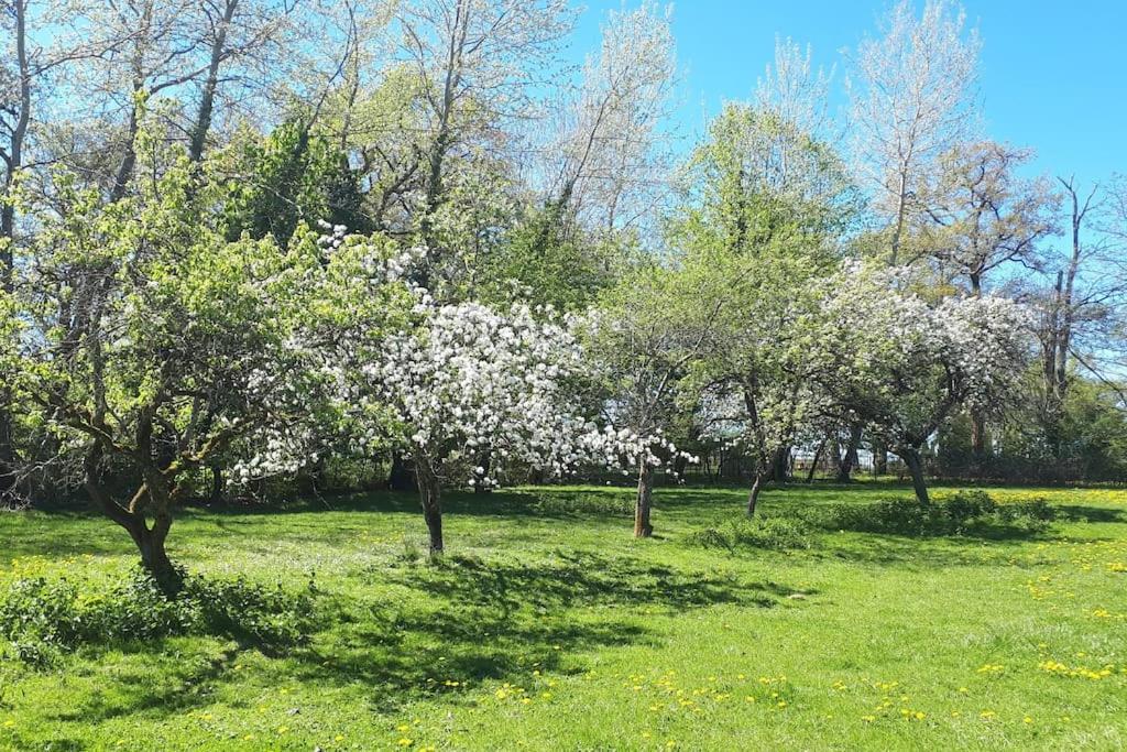 Gite A La Ferme, Avec Animaux, Fromages Et Nature Neuville-les-Decize Екстериор снимка